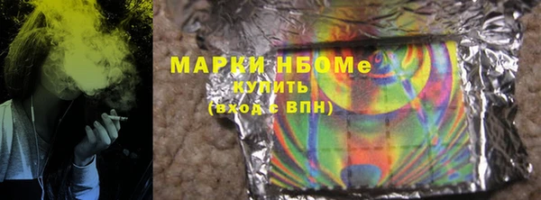 прущий лед Алзамай