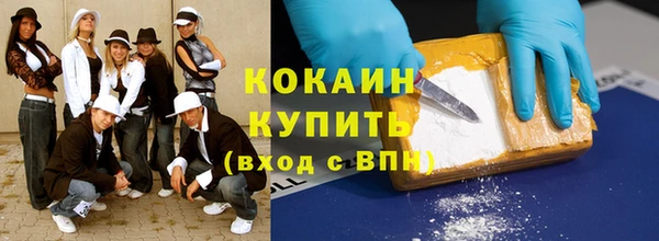 прущий лед Алзамай